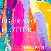 Ég Er Svo Flottur