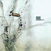 Liquid (Bonus Track Version)