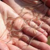 Alright _ a _ Question