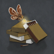 Moth to a Flame