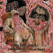 Cystgurgle / Hit-Run Drivers / Metrorrhagia / Pyosis