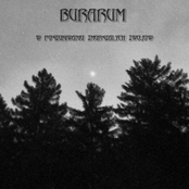 Untitled Album