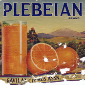 All Light Fucked On The Hairy Amp Drooling