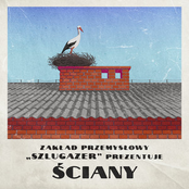 Ściany