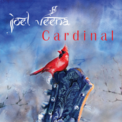 Cardinal