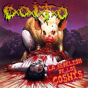 La Rebelión De Los Coshis