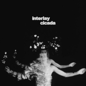 Interlay: Cicada