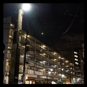 AndroidWaDenkihitsujiNoYumeWoMiruka?