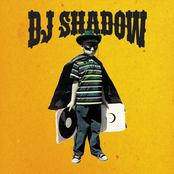 Erase You by Dj Shadow Feat. Chris James