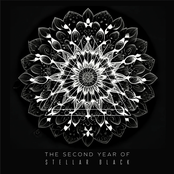 The Second Year of Stellar Black
