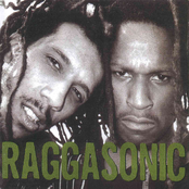 Raggasonic Album Picture