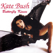 The Long And Winding Road by Kate Bush