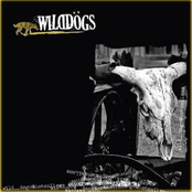 Wild Dögs Demo