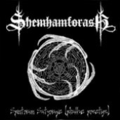 Spintriam Satyriazis (Phallus Prestige)