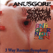 3 Way Rectum Symphony