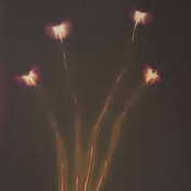 Bad Luck Is Two Yellow Flowers