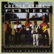 Turning Point by The Creole Zydeco Farmers