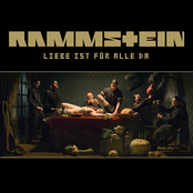 Pussy by Rammstein