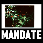 ManDate: (Draft)