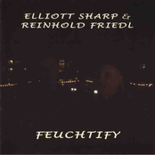 Elliott Sharp & Reinhold Friedl