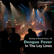 The Province by Dengue Fever