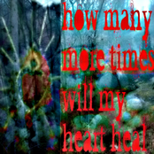 how many more times will my heart heal