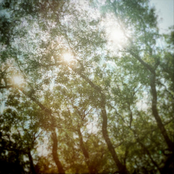 Bow & Spear: Way Vivid