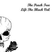 The Day I Let The Darkness In by The Peach Tree