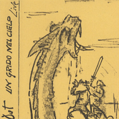 Un Grido nel Cielo (Live)