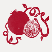 Pomegranates