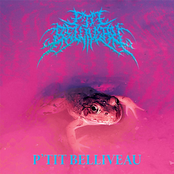 P'tit Belliveau: P'tit Belliveau