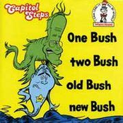 One Bush, Two Bush, Old Bush, New Bush