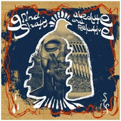 Absolute and Relative