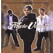 The Rough Guide To Hungarian Music