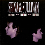 spina & sullivan