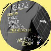 Super Flu: Halle Saale Remixed