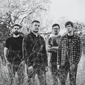 Senses Fail