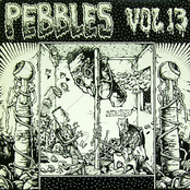 Pebbles Vol.13