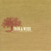 Iron and Wine: The Creek Drank the Cradle