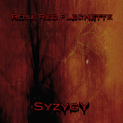 Syzygy