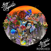 Brighter Future Remix LP