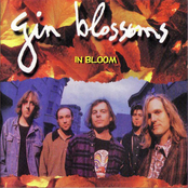 Wasting My Time by Gin Blossoms