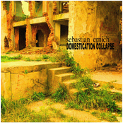 Domestication Collapse