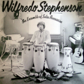 Wilfredo Stephenson