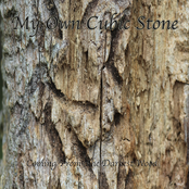 Coming From The Darkest Wood