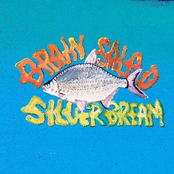 Silver Bream