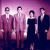 You Must Have Been A Beautiful Something, What Are You... Really?