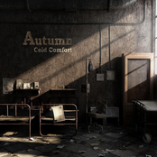 Cold Comfort by Autumn