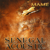 Senegal Acoustic- Senegal