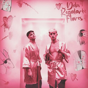 Debi Regalarte Flores